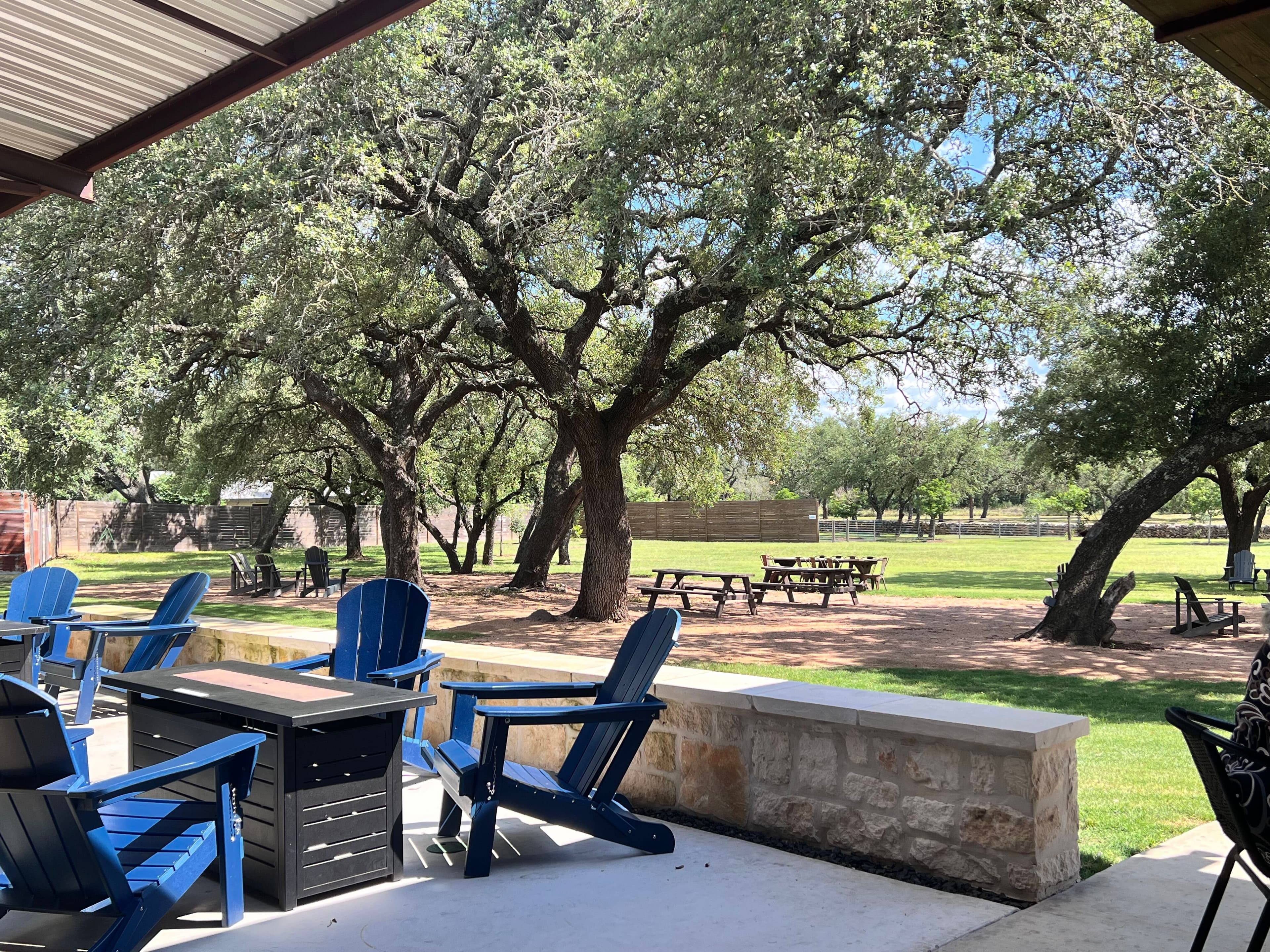Blue Adirondack chairs on the back porch at Ab Astris in Stonewall, shaded by live oaks.