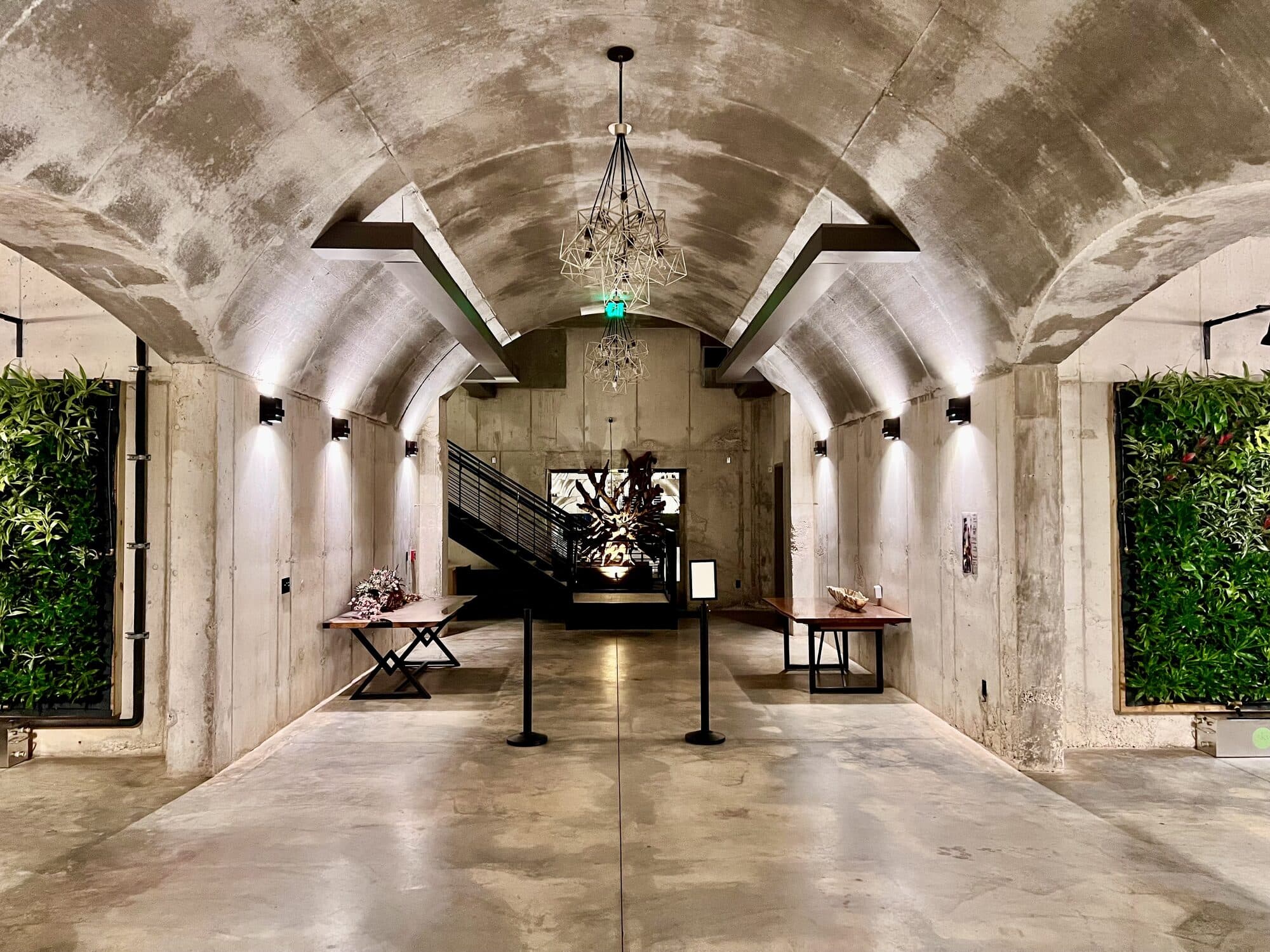 The limestone cave at Slate Theory Winery in Fredericksburg, lined with wine barrels under hanging lights.