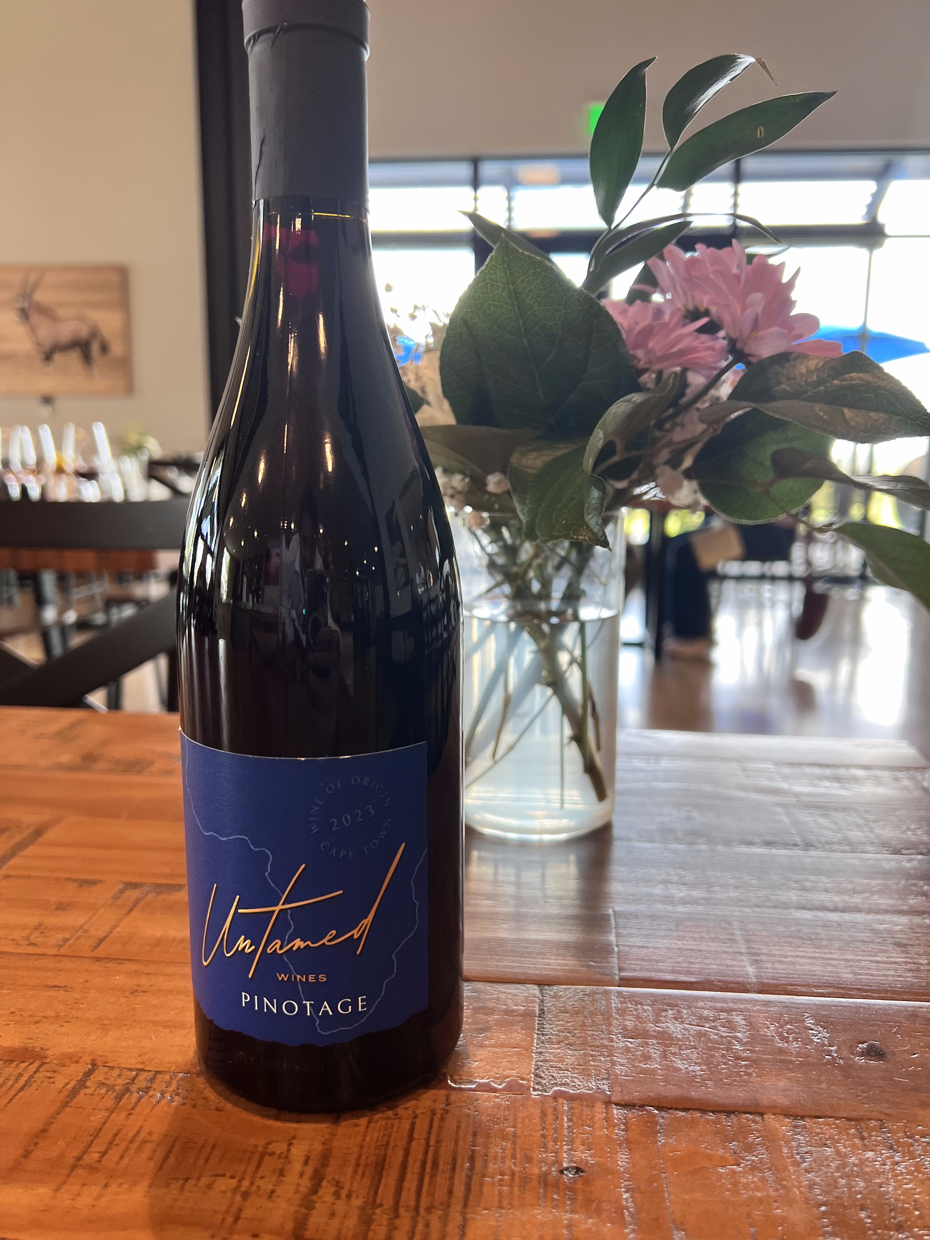 Plate 02 · The Untamed Pinotage at the tasting room — Wine of Origin, Cape Town, 2023