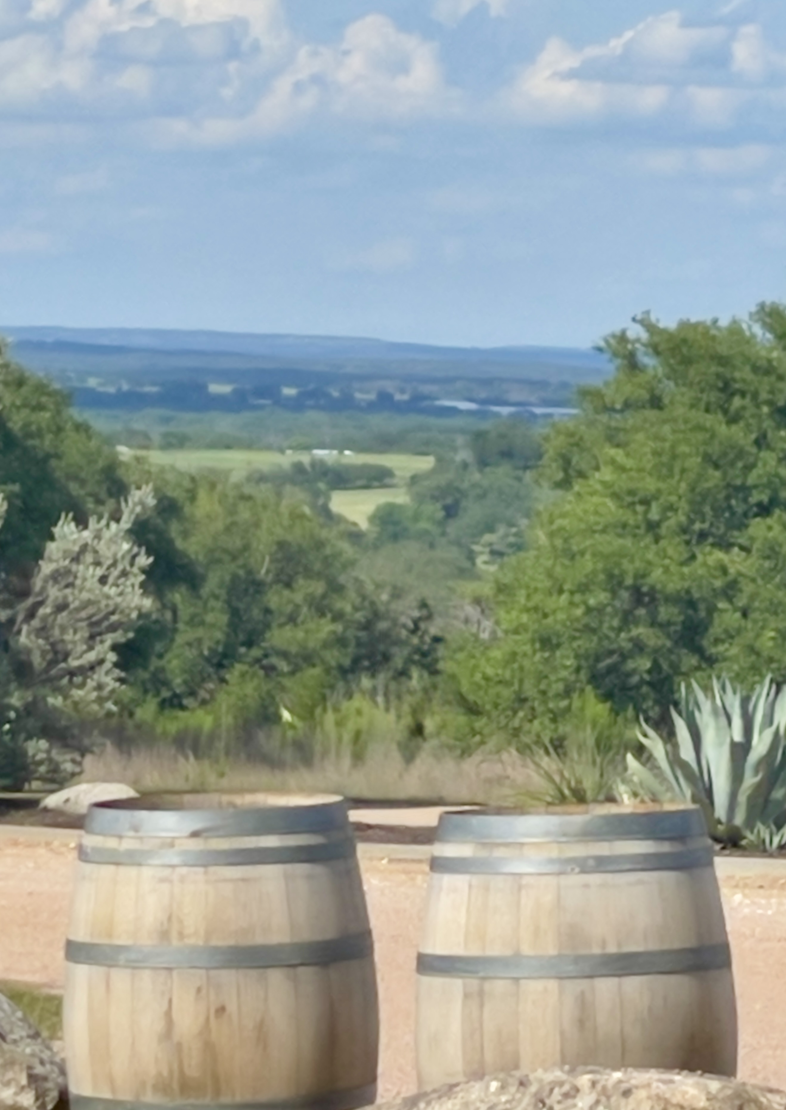 The long look down — agave, oaks, and the valley falling away toward the Pedernales river.